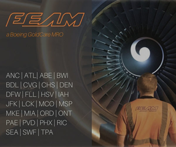 FEAM, a Boeing GoldCare MRO Aircraft Maintenance